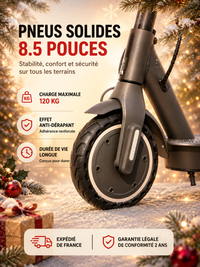 Trottinette Électrique Adulte 350W - Autonomie 35km, Pliable