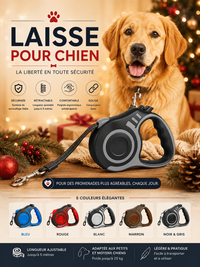Laisse pour Chien Rétractable - Nylon Solide 3m/5m