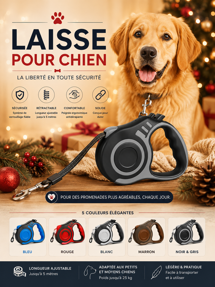 Laisse pour Chien Rétractable - Nylon Solide 3m/5m
