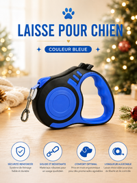 Laisse pour Chien Rétractable - Nylon Solide 3m/5m