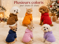 Pull Chien Chaud - Automne/Hiver