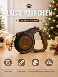 Laisse pour Chien Rétractable - Nylon Solide 3m/5m