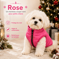 Manteau Chien Hiver - Coupe-Vent Matelassé