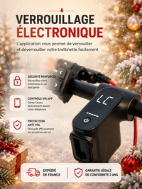 Trottinette Électrique Adulte 350W - Autonomie 35km, Pliable