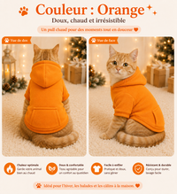 Pull Chien Chaud - Automne/Hiver