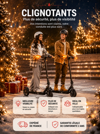 Trottinette Électrique Adulte 350W - Autonomie 35km, Pliable
