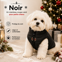 Manteau Chien Hiver - Coupe-Vent Matelassé