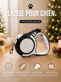 Laisse pour Chien Rétractable - Nylon Solide 3m/5m