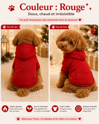 Pull Chien Chaud - Automne/Hiver