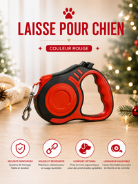 Laisse pour Chien Rétractable - Nylon Solide 3m/5m