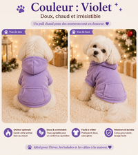 Pull Chien Chaud - Automne/Hiver