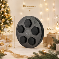 Cible de Boxe Murale Connectée - LED Bluetooth