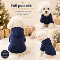Pull Chien Chaud - Automne/Hiver