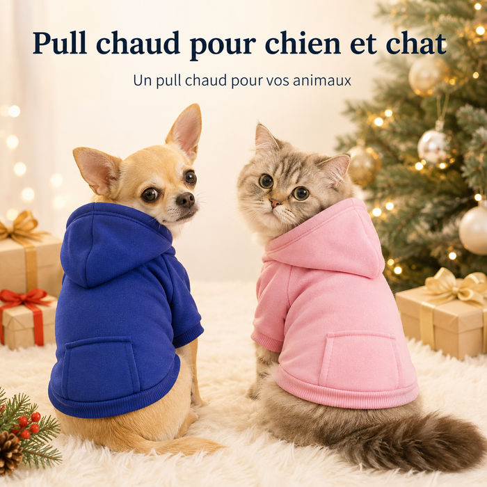Pull Chien Chaud - Automne/Hiver