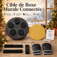 Cible de Boxe Murale Connectée - LED Bluetooth